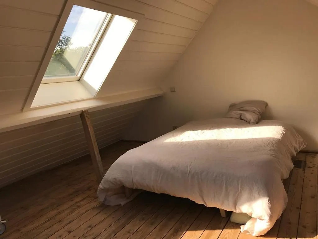 Studio Minerva Antwerpen 0*,  Belgien